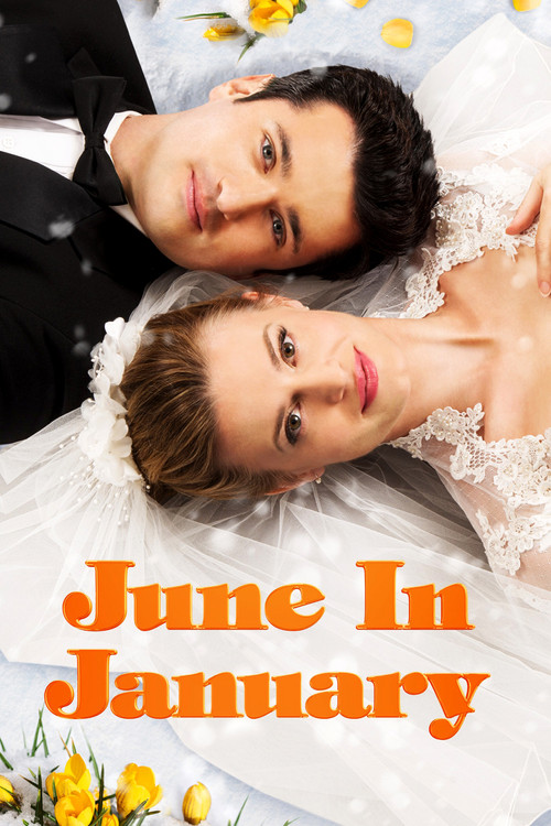 June in January (2014) poster