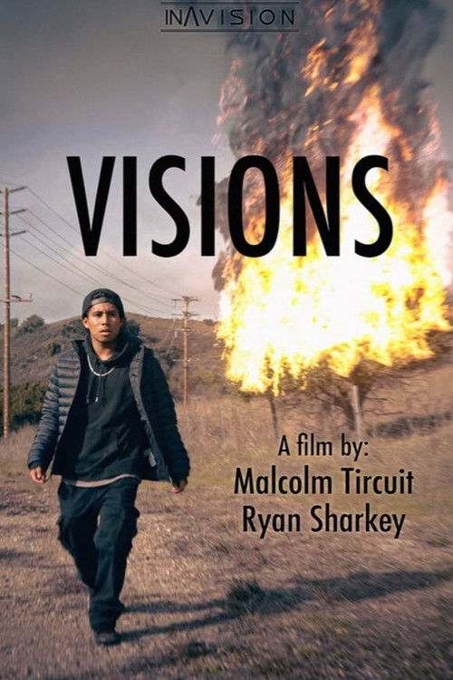 Visions (2024) poster