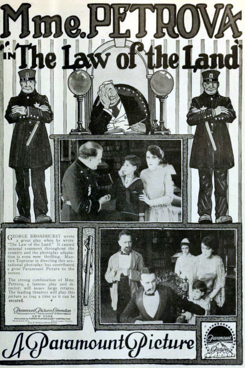 Law of the Land (1917) poster