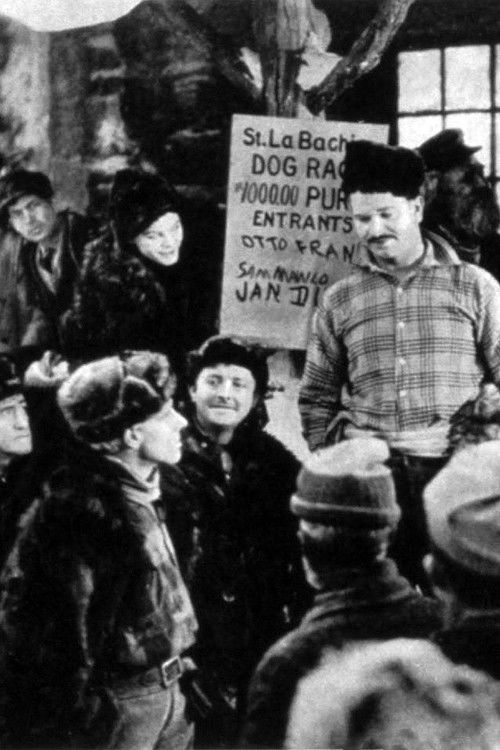 The Northern Trail (1921) poster