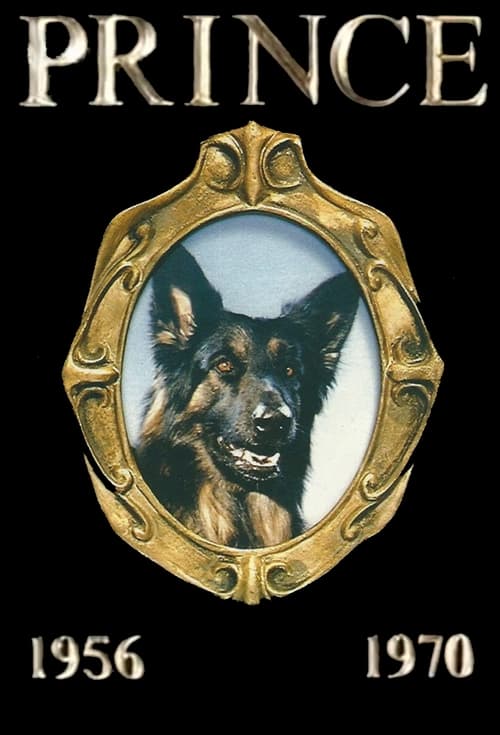 Prince (1991) poster