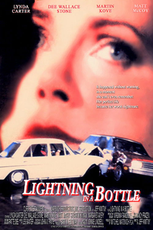 Lightning in a Bottle (1993) poster