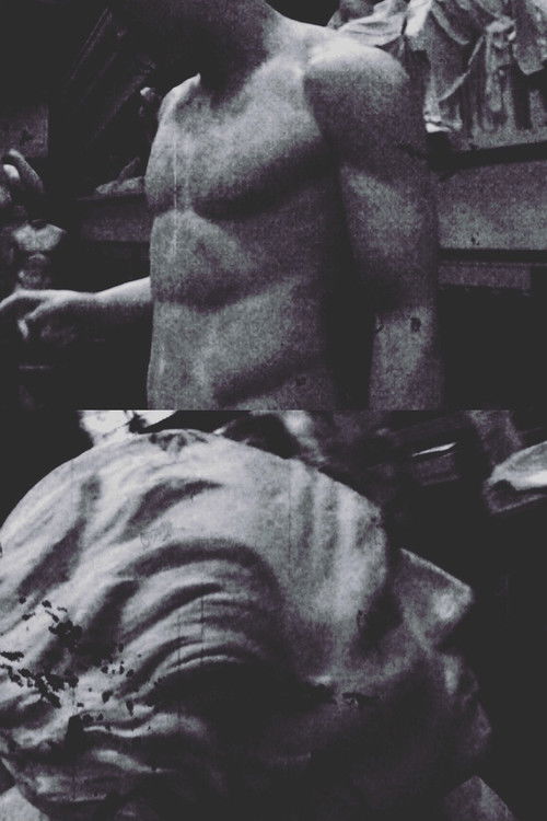 Sous les paupières de Sam F. (2003) poster