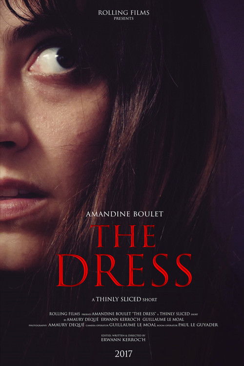 The Dress (2017) poster