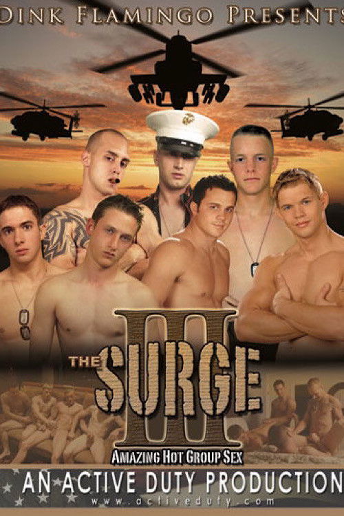The Surge 3 (2008) poster