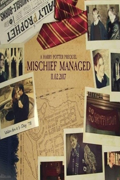 Mischief Managed (2017) poster