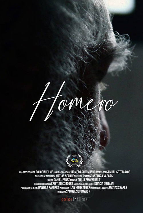 Homero (2018) poster