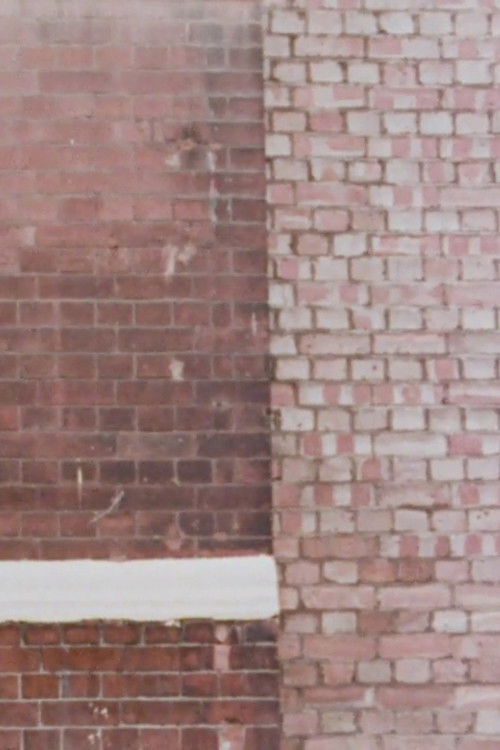 Repertory (1973) poster