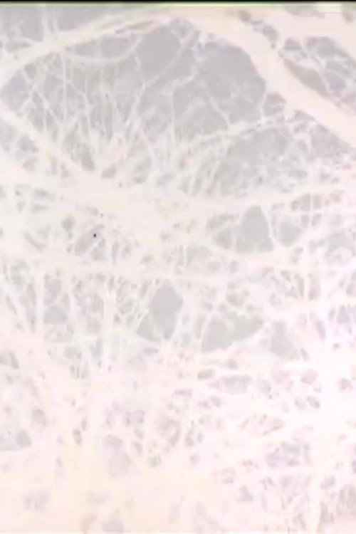 Leafless (2011) poster