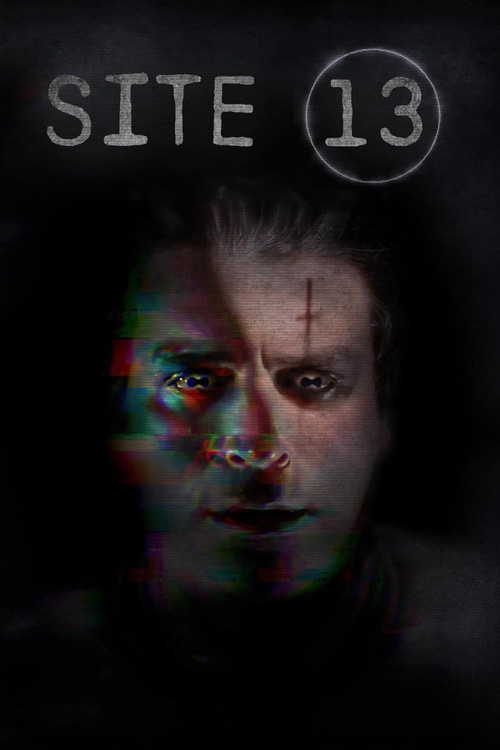 Site 13 (2023) poster