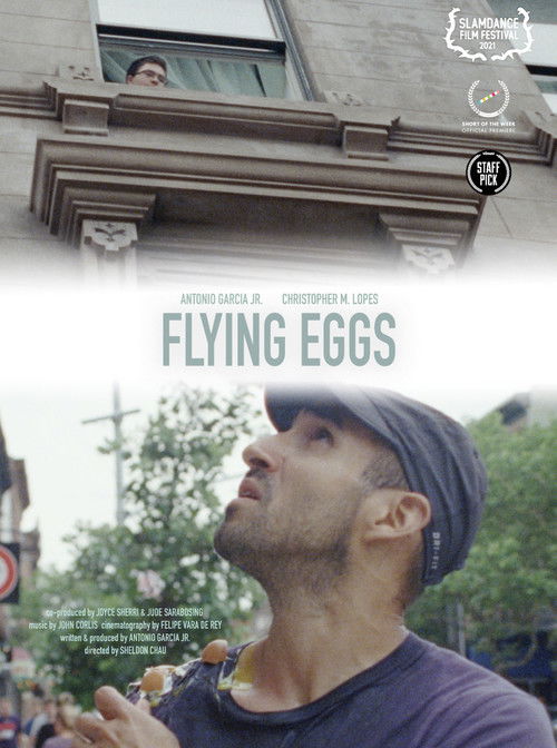 Flying Eggs (2018) poster