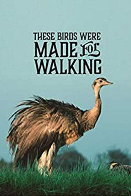 These Birds Were Made for Walking (2020) poster