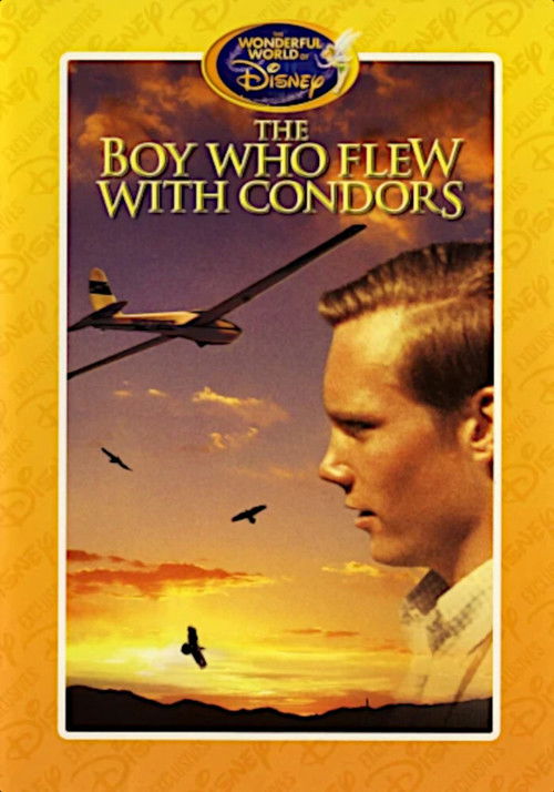 The Boy Who Flew with Condors (1967) poster