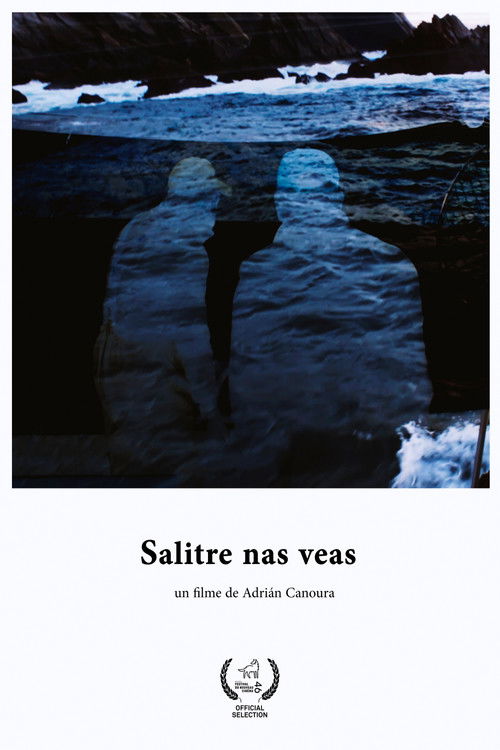 Salitre nas veas (2017) poster
