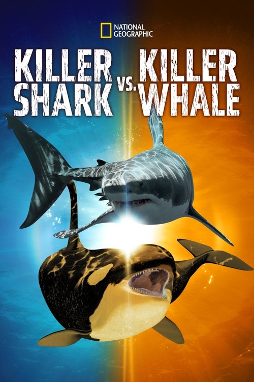 Killer Shark Vs. Killer Whale (2021) poster