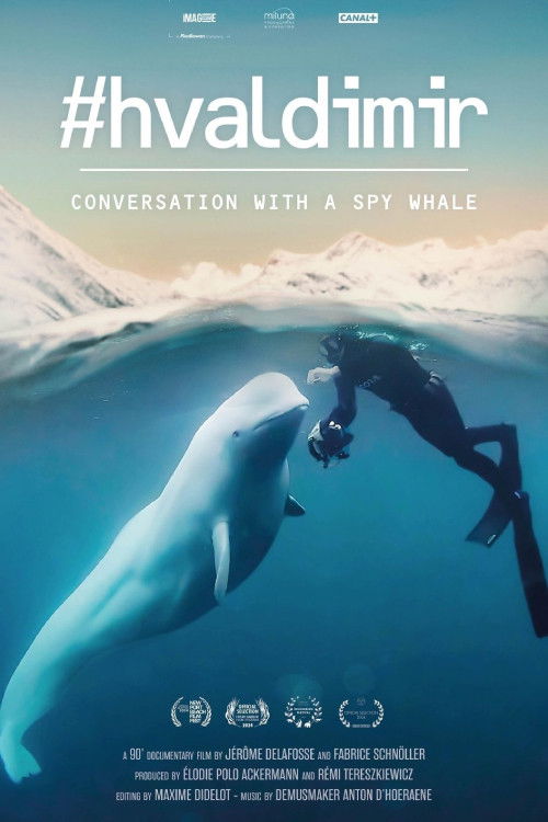 #Hvaldimir, Conversation With a Spy Whale (2024) poster