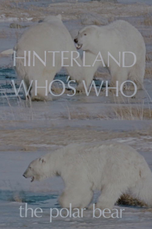 Hinterland Who's Who: The Polar Bear (1973) poster