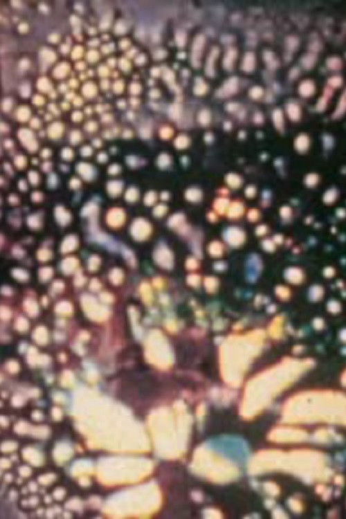 15 Days of Fever (1989) poster