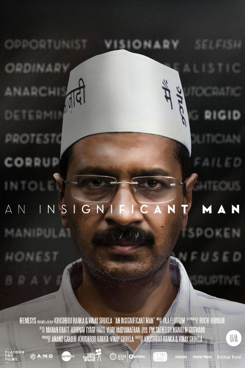 An Insignificant Man (2016) poster