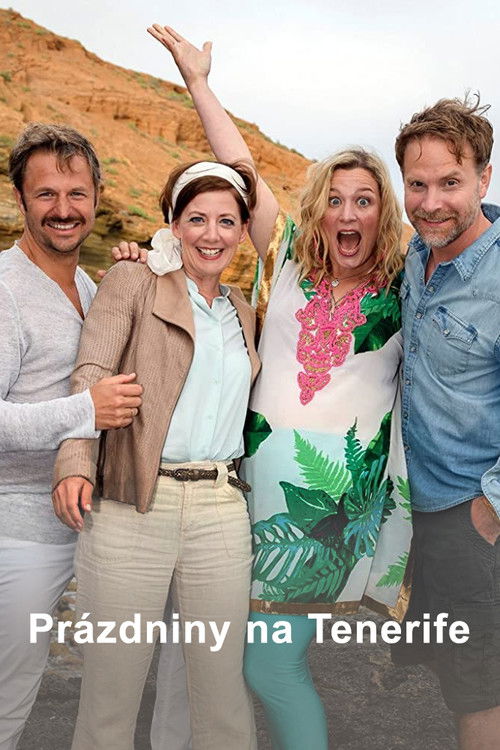 Ein Ferienhaus auf Teneriffa (2019) poster