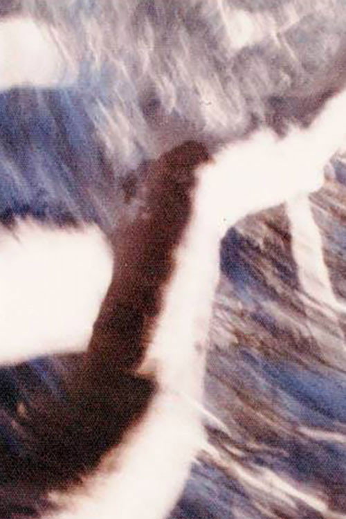 Earth Message (1970) poster