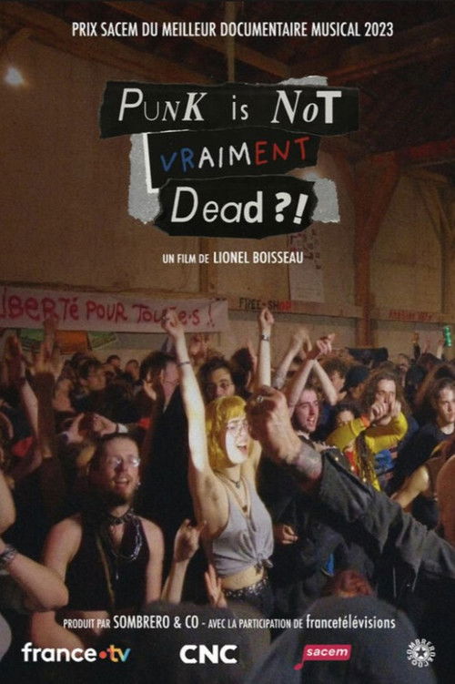 Punk is not vraiment dead ?! (2023) poster