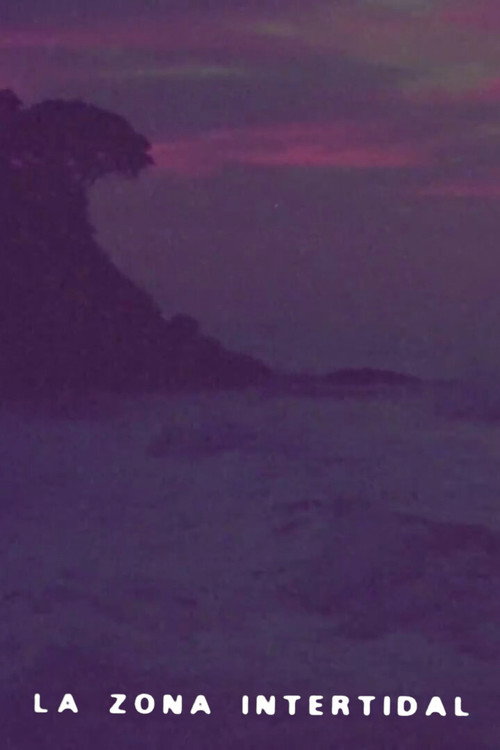 Zona Intertidal (1980) poster
