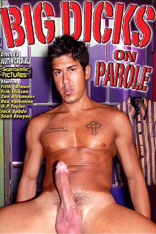 Big Dicks on Parole (2008) poster