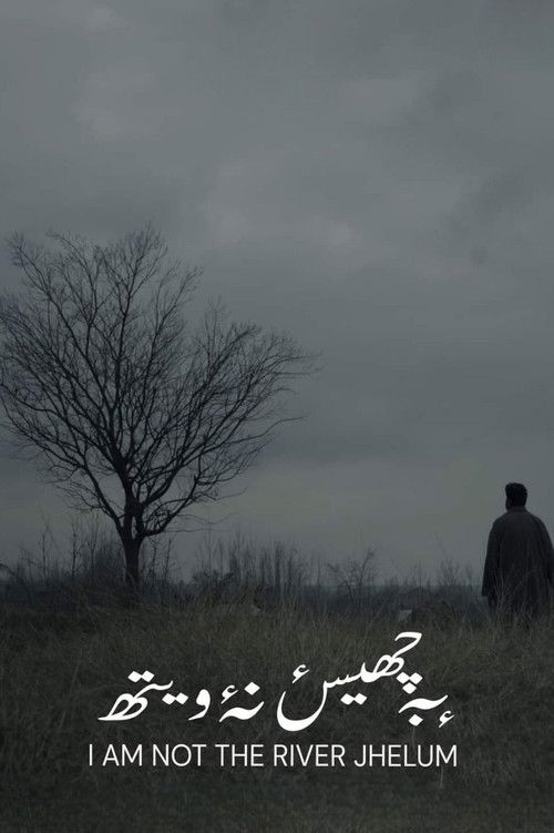 I'm Not The River Jhelum (2021) poster