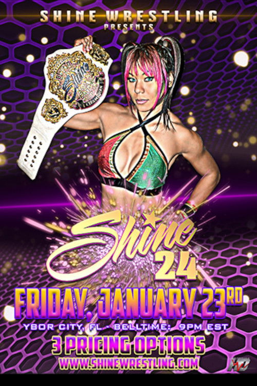 SHINE 24 (2015) poster