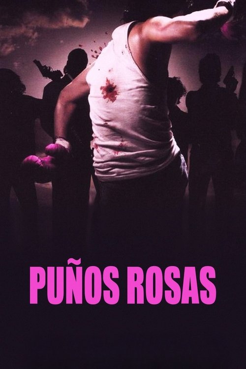 Pink Punch (2004) poster