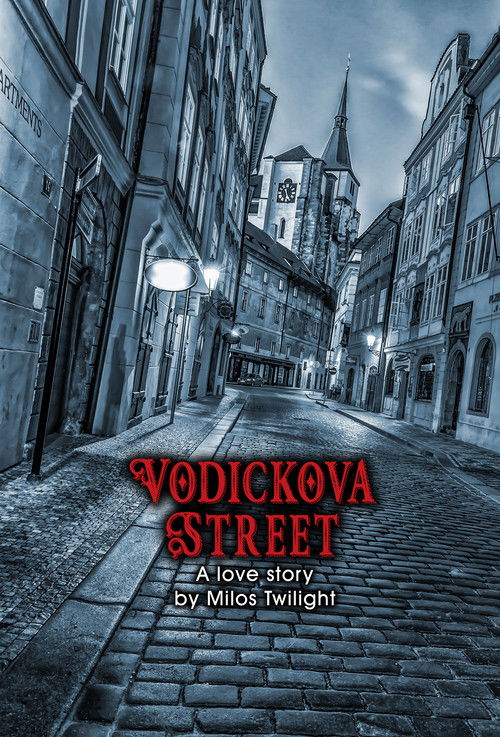Vodickova Street (2007) poster