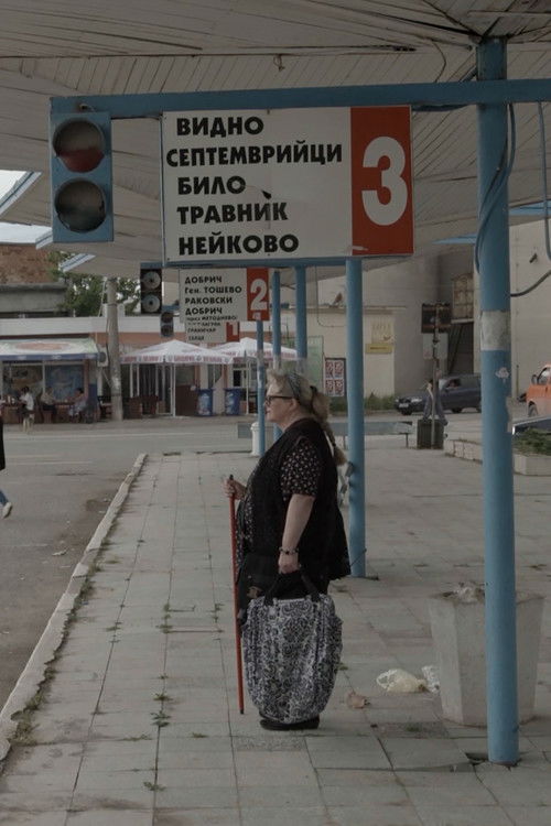 Bulgarian Dream (2020) poster