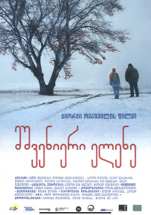 მშვენიერი ელენე (2022) poster