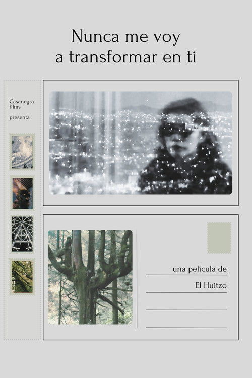 I will never transform into you (2025) poster