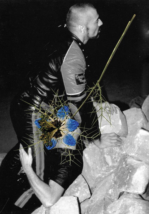 Les Fantômes du hard (Chapitre 2) (2024) poster