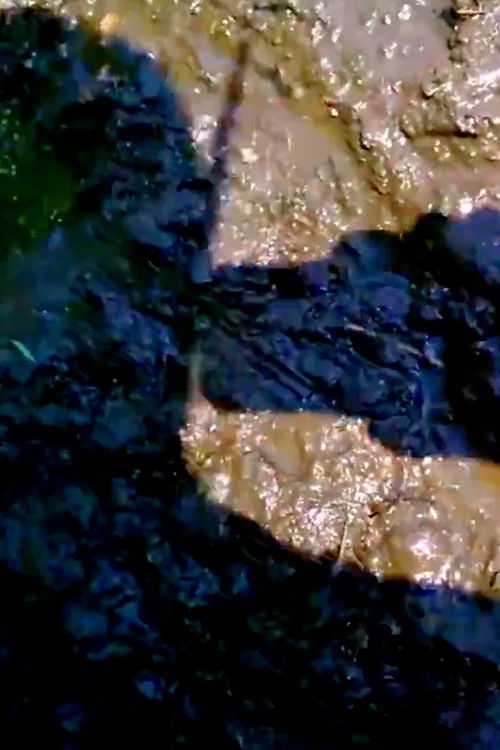 Shouting at the Ground (2017) poster