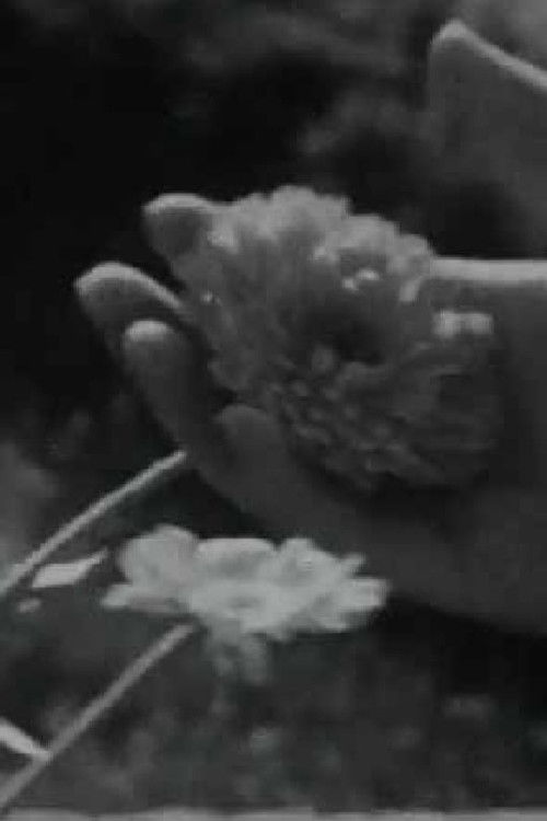 Cántico (1950) poster