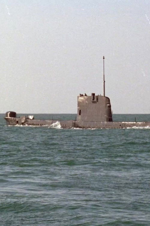 חיל הים (1971) poster