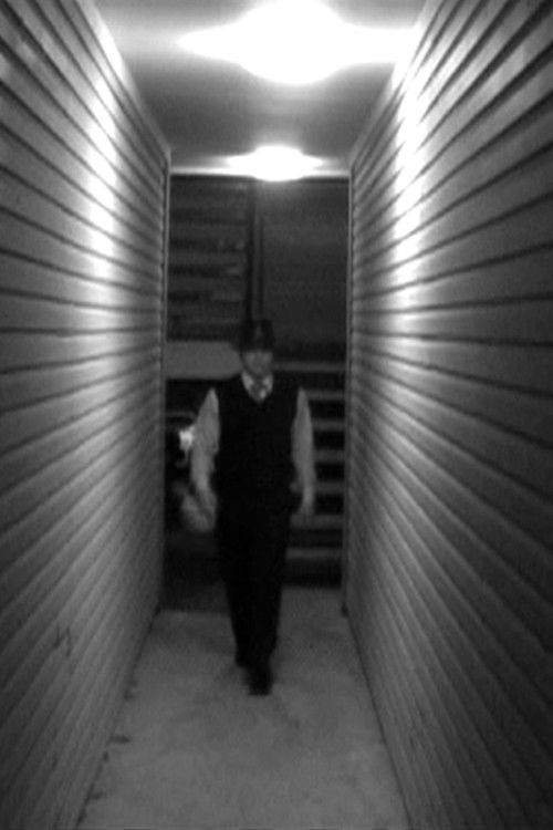 A Walking Shadow (2007) poster