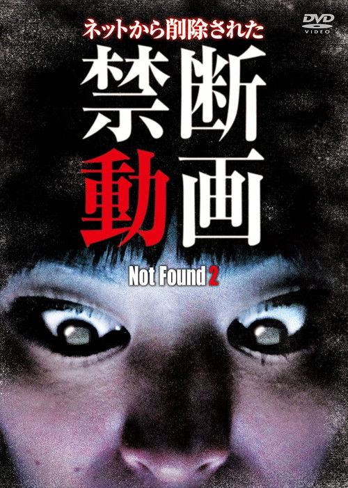 Not Found 2 (2011) poster