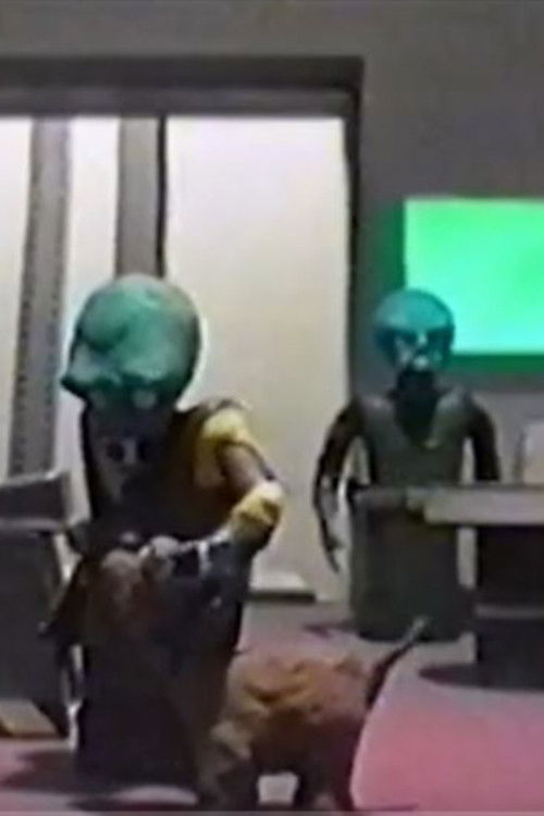 Intruder (1998) poster