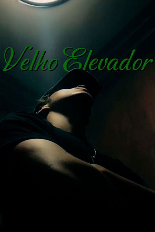 VELHO ELEVADOR (2024) poster