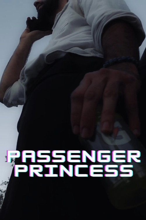 Passenger Princess (2024) poster