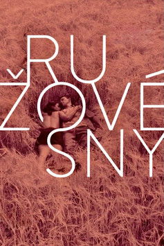 Ružové sny (1977) poster