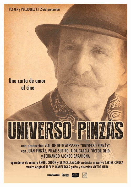 Pinzás Universe (2019) poster