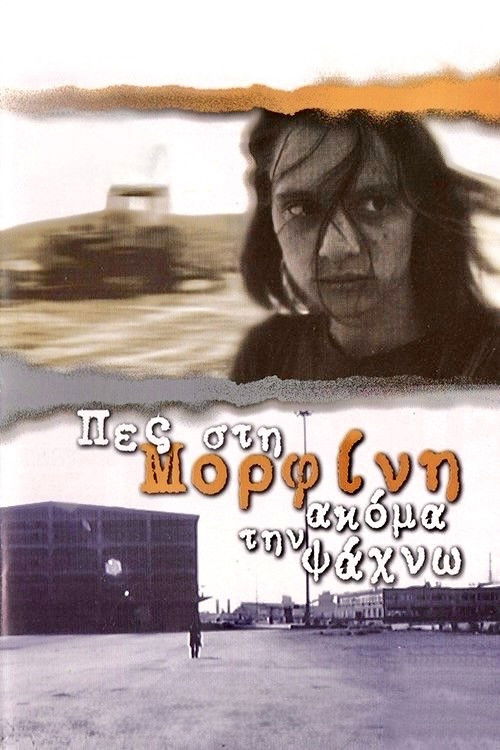 Still Looking for Morphine (2001) poster