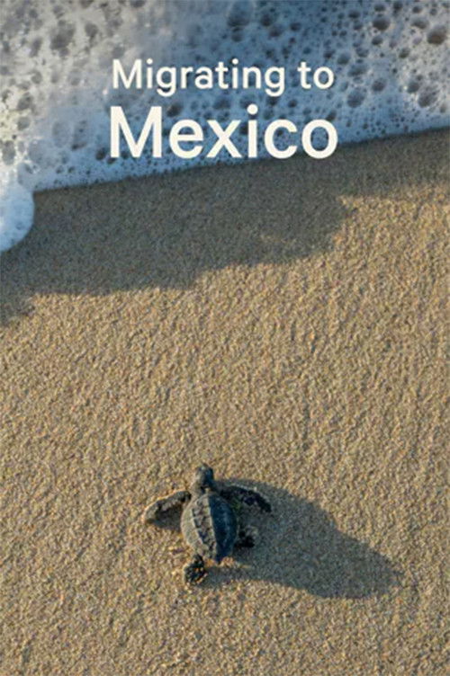 Migrating to Mexico (2020) poster