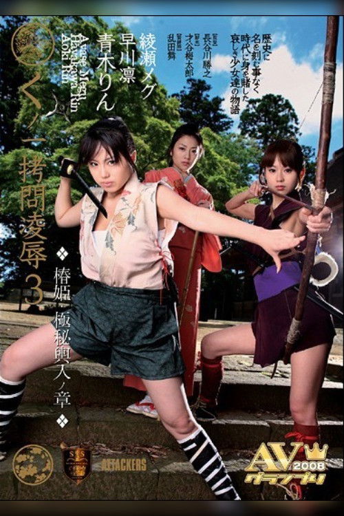 Princess Insult 3 - Secret of the Entrant (2007) poster