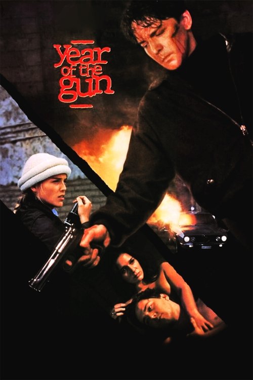 Year of the Gun (1991) poster